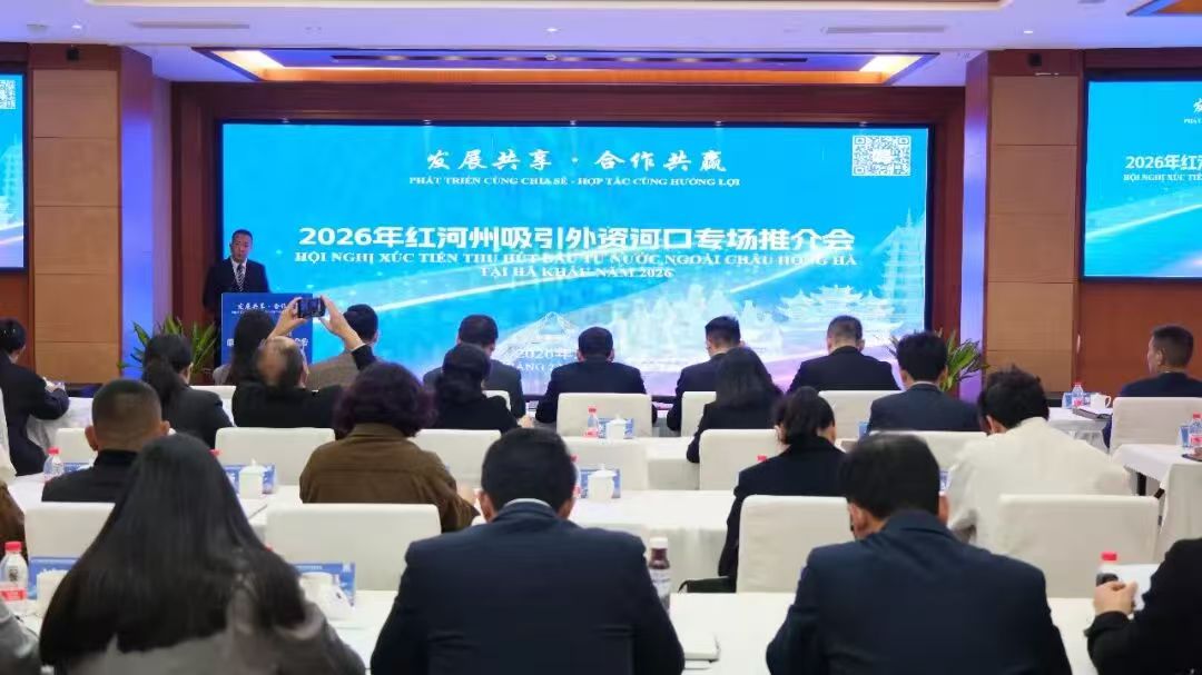 2026�������������ʺӿ�ר���ƽ��