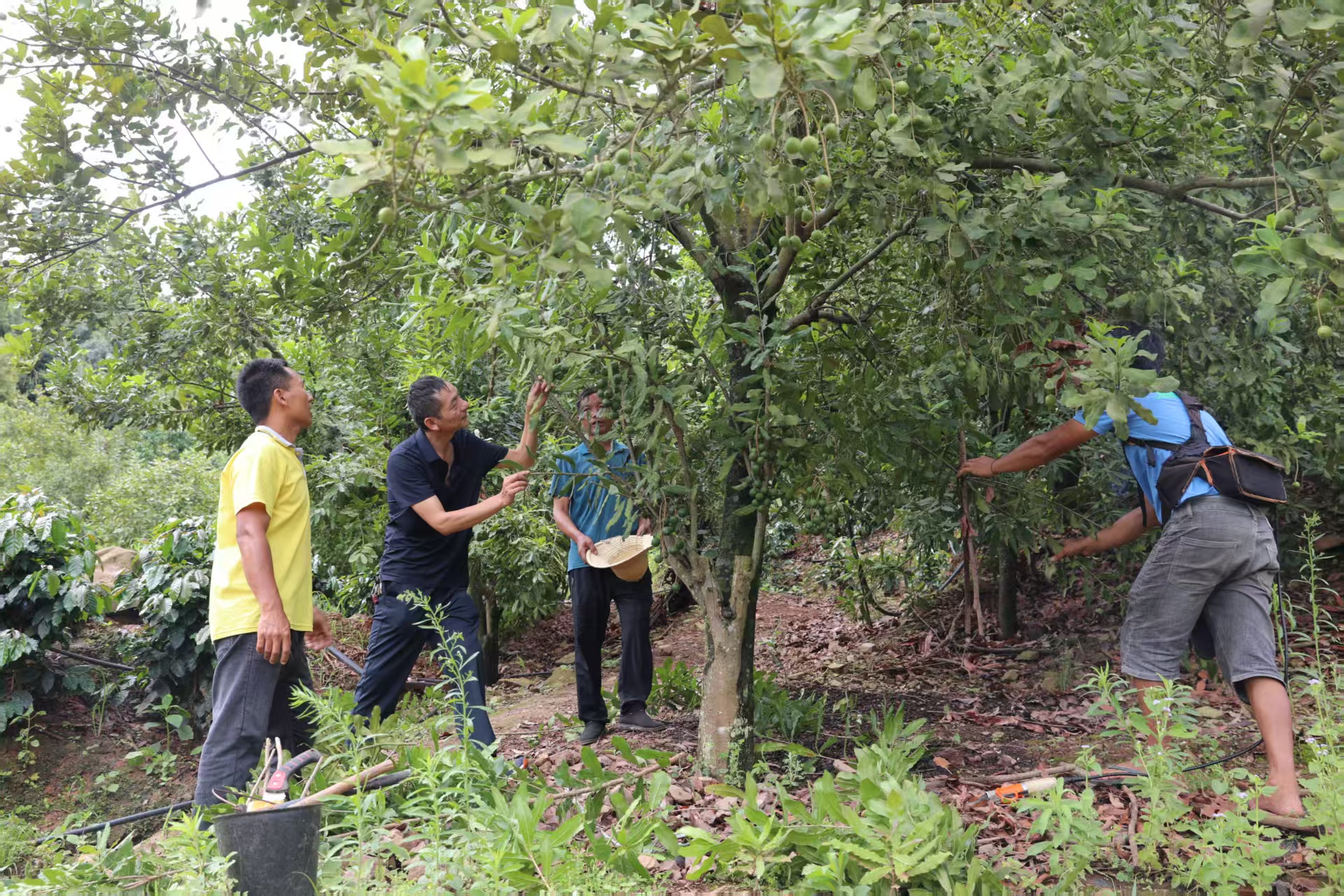 �����ٲ����£�ǿ�����߷��� �ü��